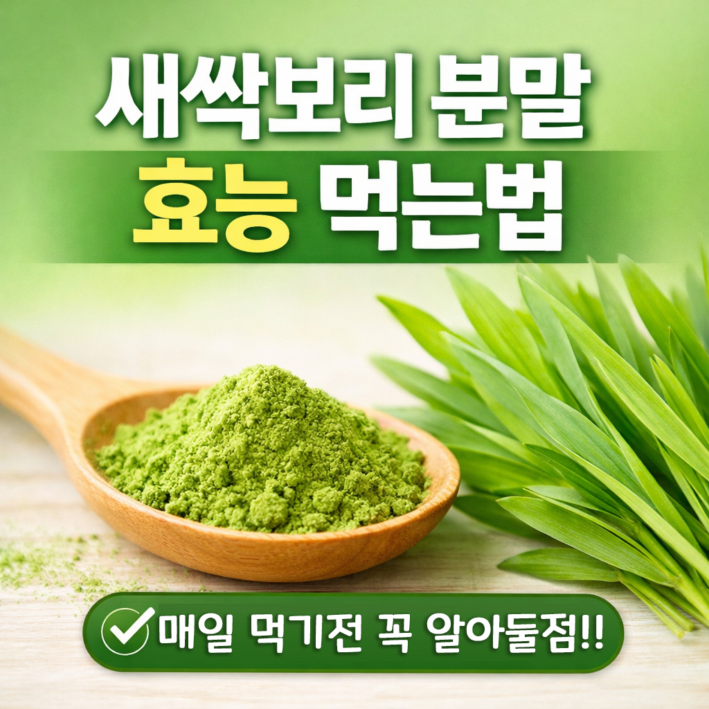 새싹보리 분말 효능 먹는법과 주의사항까지 한 번에