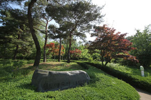 향토예술의나무원