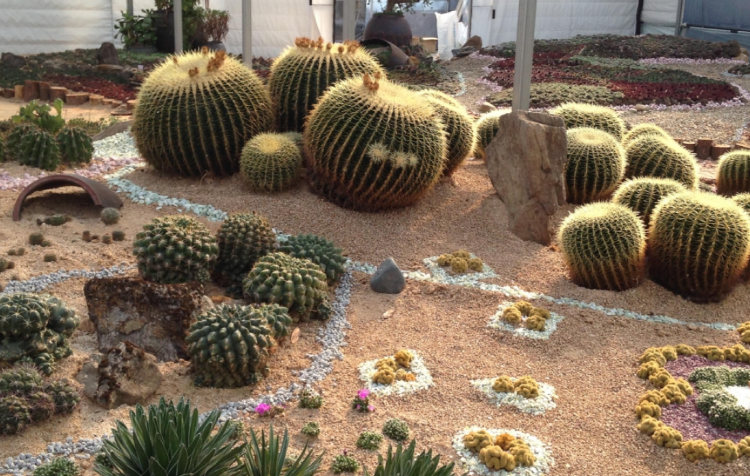 덕평 공룡수목원