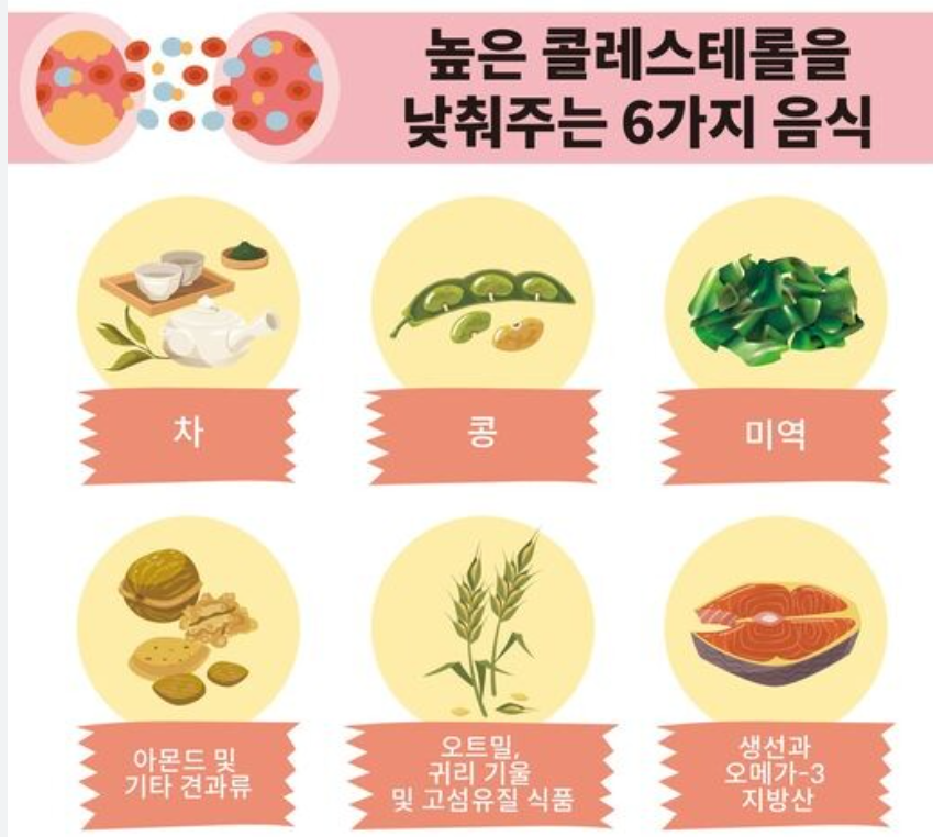 콜레스테롤 낮추는 음식6가지 사진