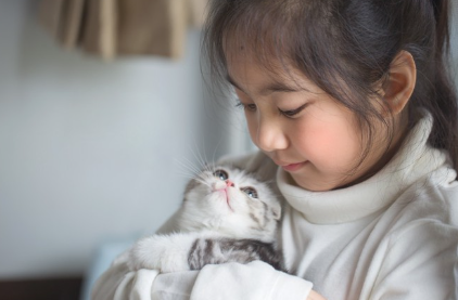 고양이와 아이들.