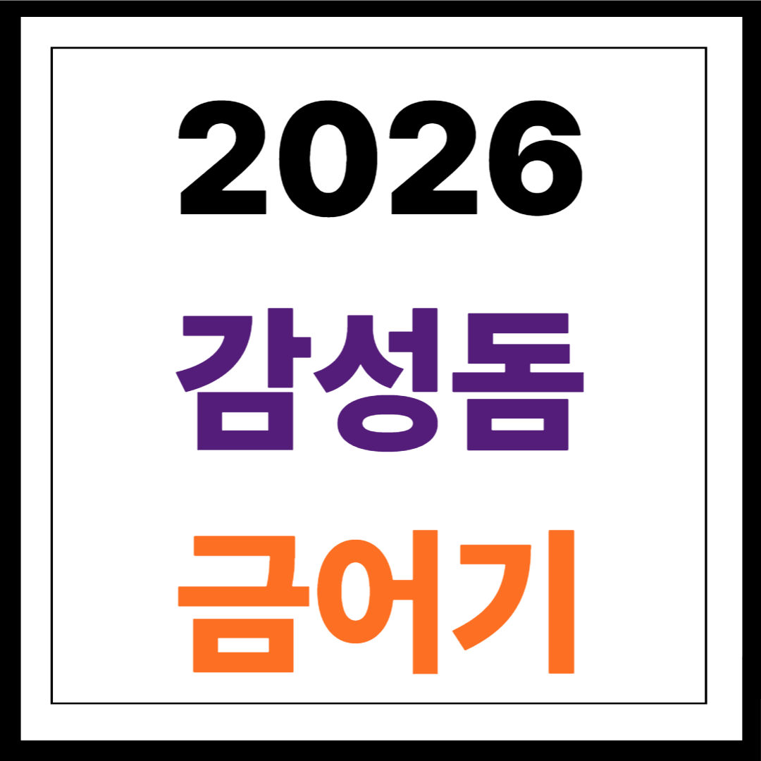 2026년 감성돔 금어기, 이것만 알면 끝