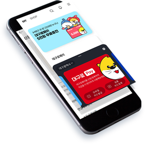 대구로페이13%할인 결제방식