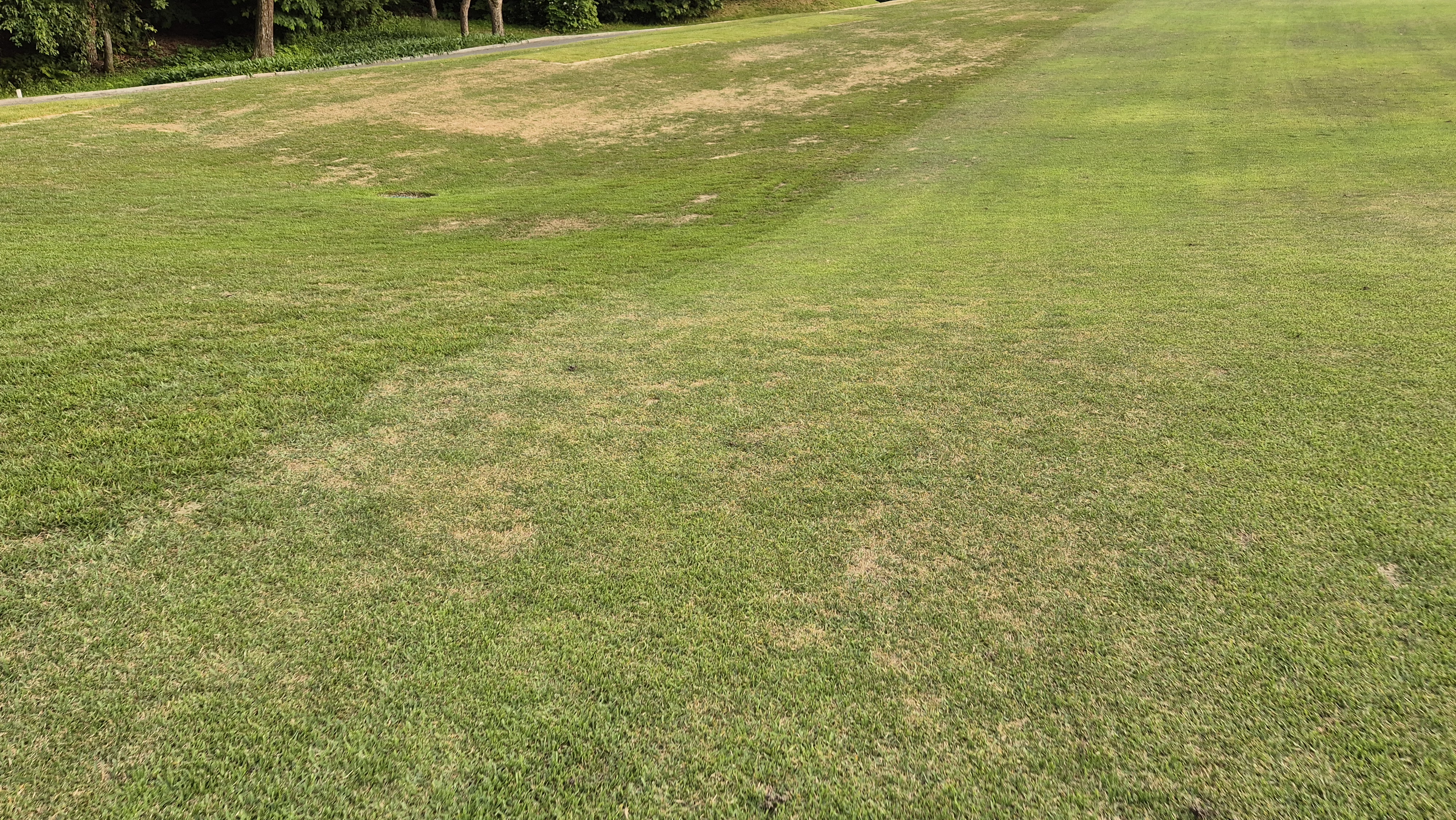 이포cc 라운드 후기