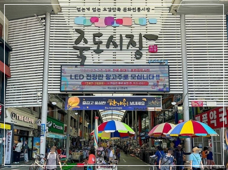 포항 가볼만한곳 베스트10 죽도시장