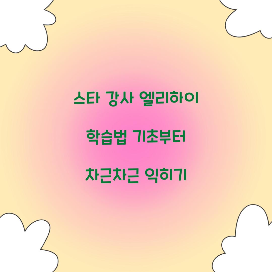 스타 강사 엘리하이 학습법