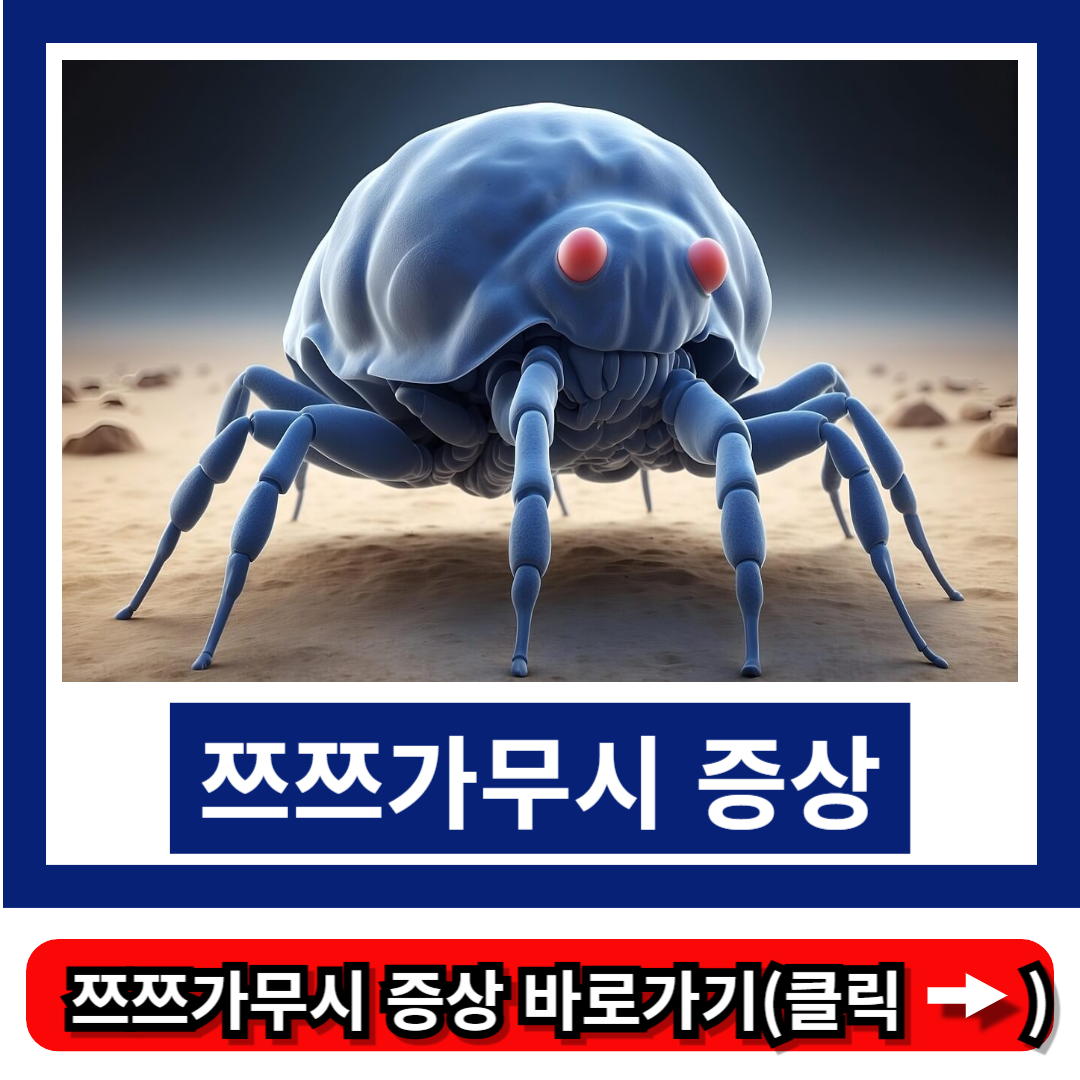 쯔쯔가무시 증상