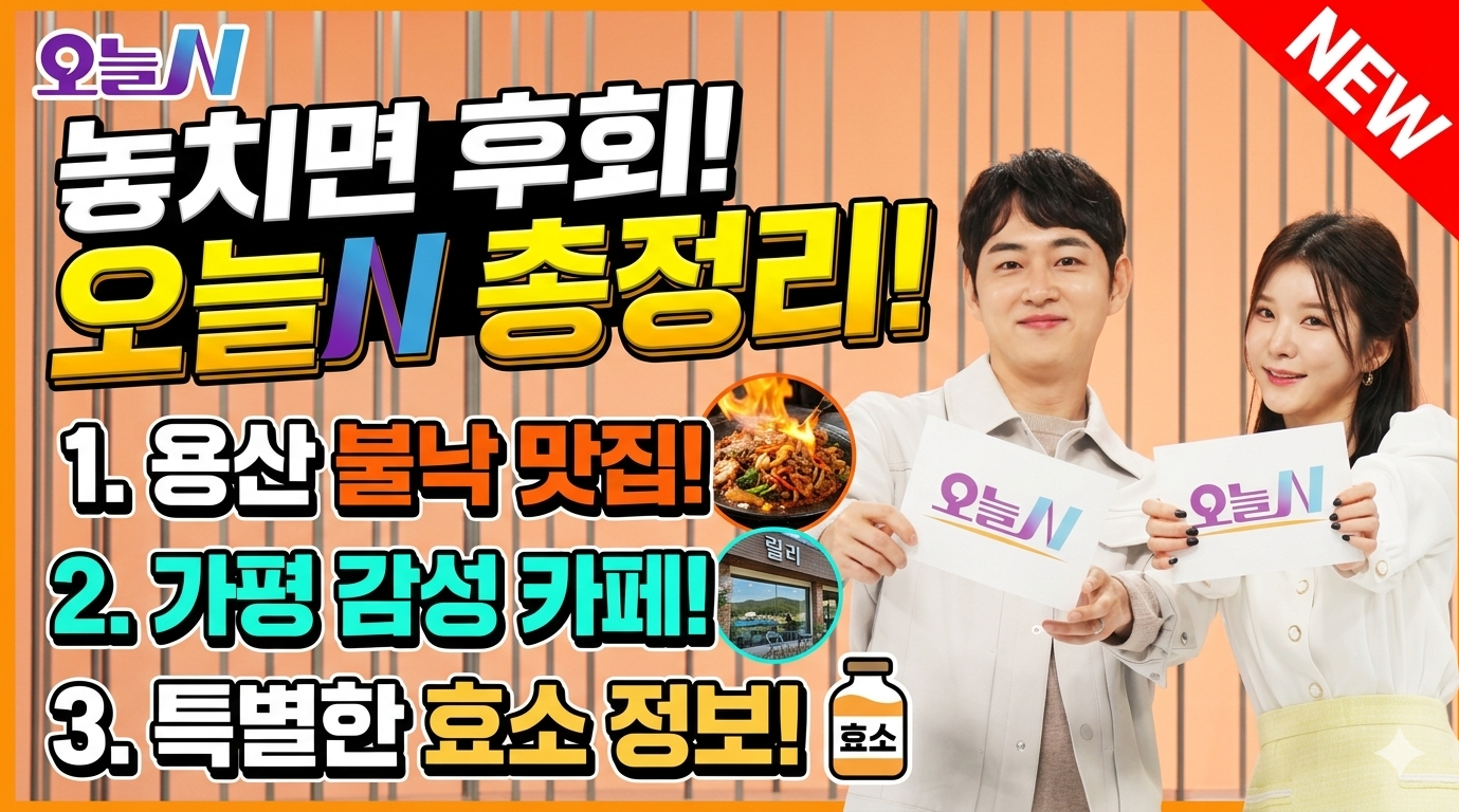 6월 9일 오늘N 방송 총정리: 용산 용호불낙 맛집부터 가평 감성 카페 릴리, 건강 효소 정보까지! 관련사진