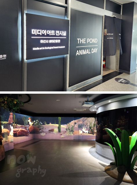 아산시-생태곤충원-미디어-아트-전시실