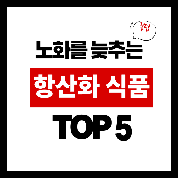 노화를 늦추는 항산화 식품 TOP 5 &amp; 매일 먹는 법: 건강하게 젊게 사는 비법