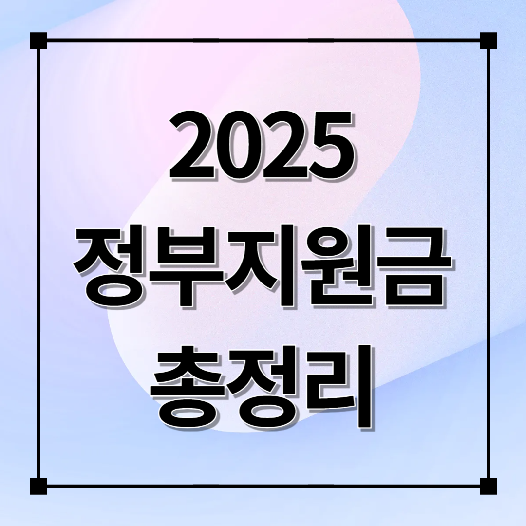 2025 정부 지원금 시리즈 총정리