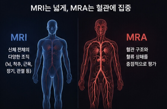 MRI와 MRA의 차이점