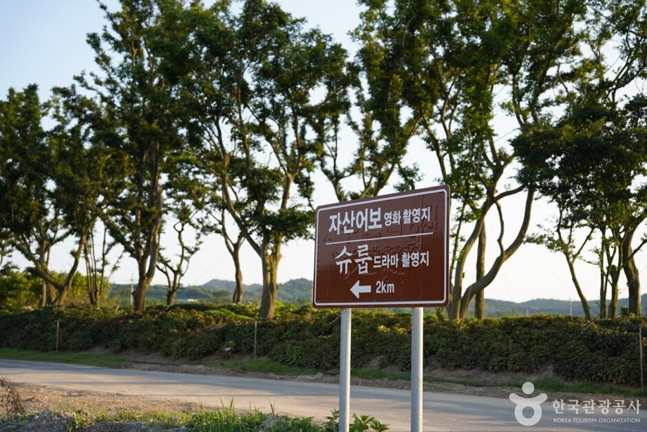 신안 가볼만한곳 베스트 10