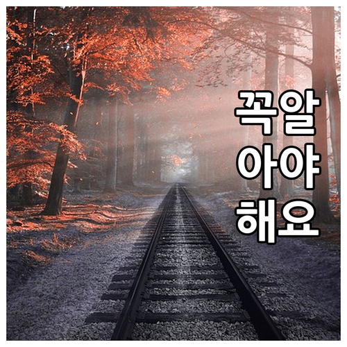 온라인 쇼핑족을 위한 현대카드: 똑똑..