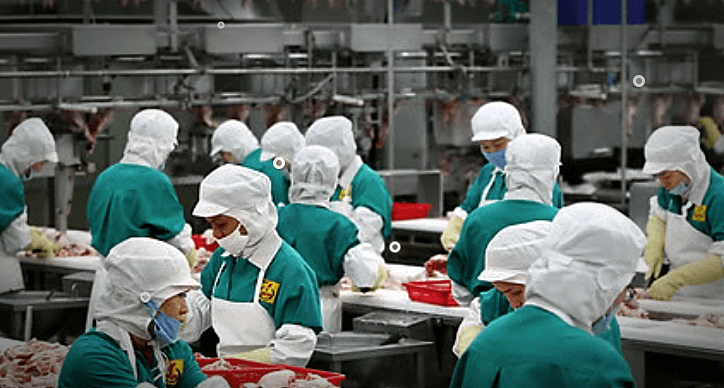 조류인플루엔자