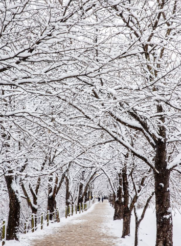 1월 인천 가볼만한곳 추천 ❘ 국내 겨울 갈만한곳 여행지 ❘ 데이트 ❘ 가족 ❘ 실내 ❘ 당일치기