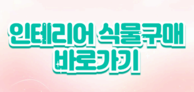 봄을 맞이하는 식물 인테리어 🍯꿀팁: 작은 변화로 큰 효과를 만드는 봄맞이 실내 꾸미기