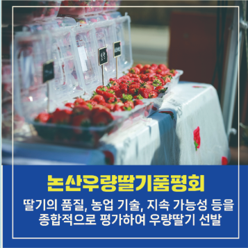 2025 논산딸기축제 : 일정, 체험, 가격, 볼거리, 주차까지 총정리!