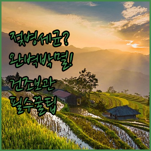 육아 선배가 추천하는 젖병 건조대 보..