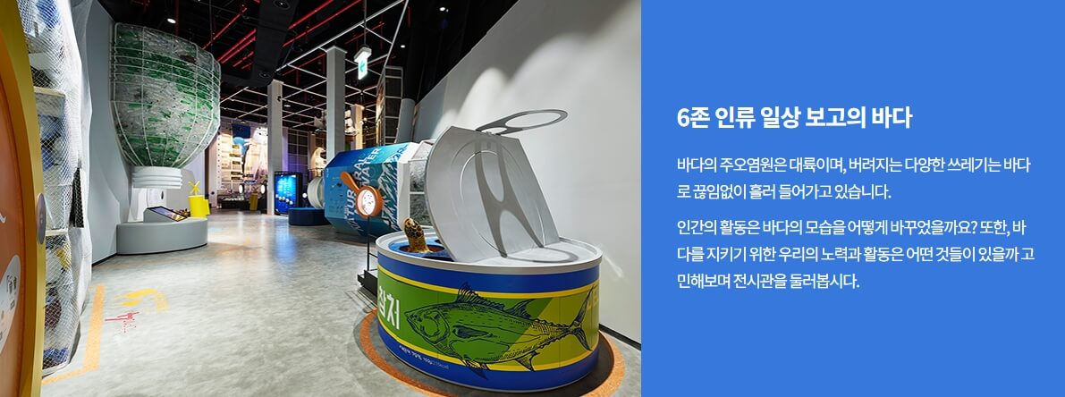 6존
