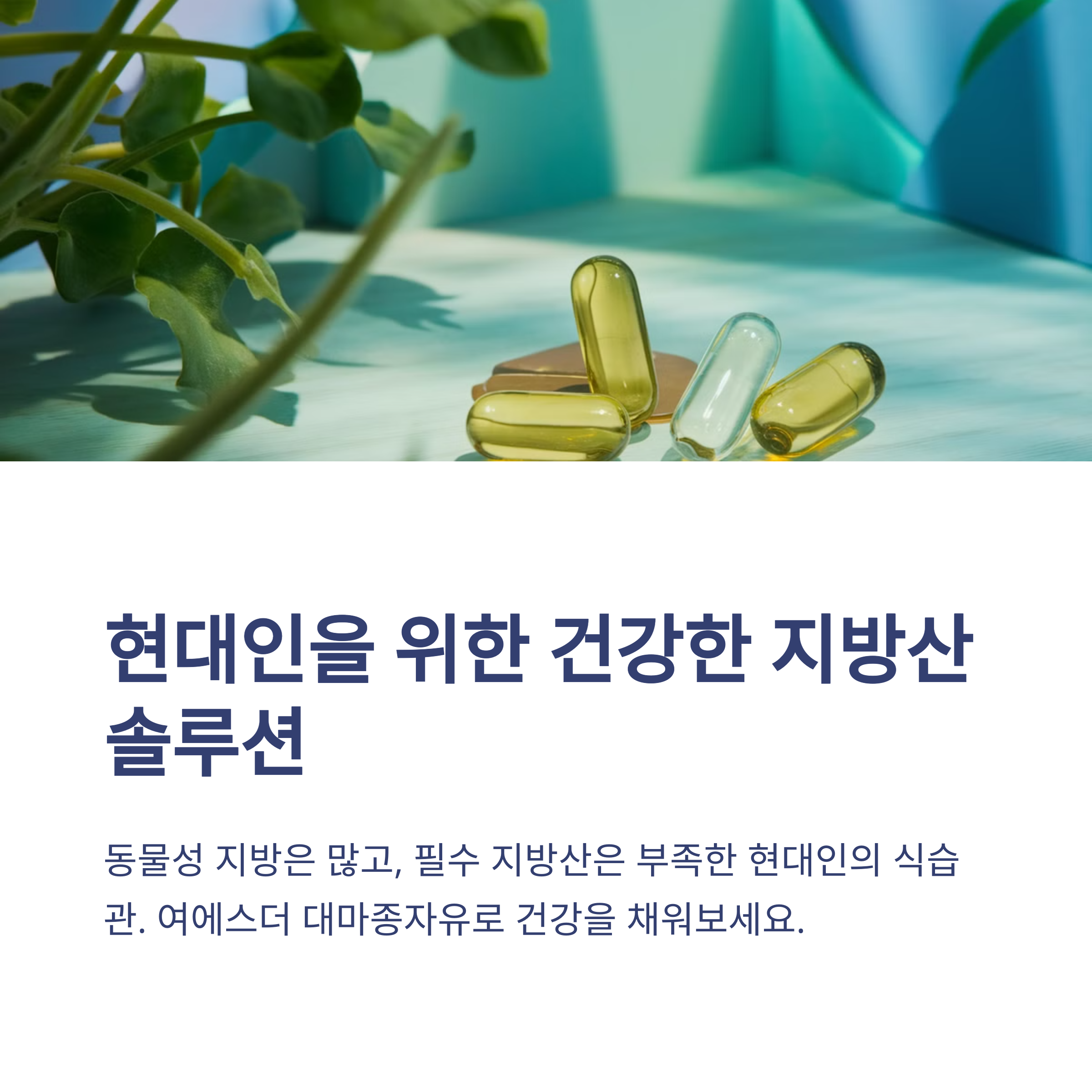 여에스더 대마종자유 식물성 오메가3