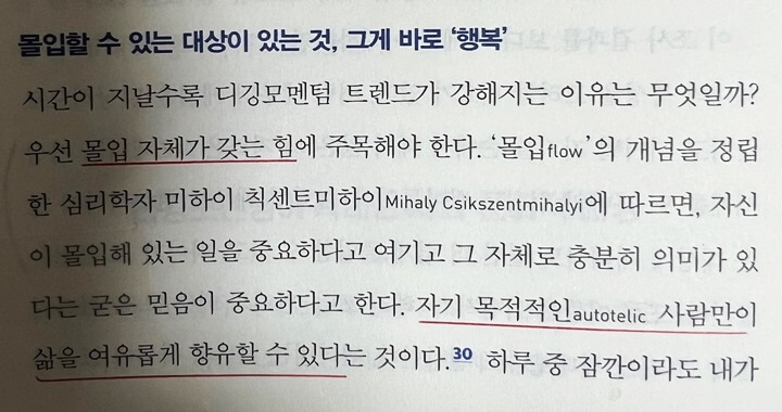 디깅모멘텀-몰입