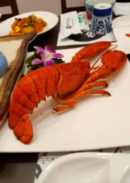 어가참치