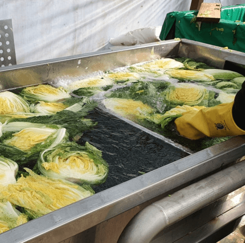 괴산 절임배추 20kg 사전예약 가격비교