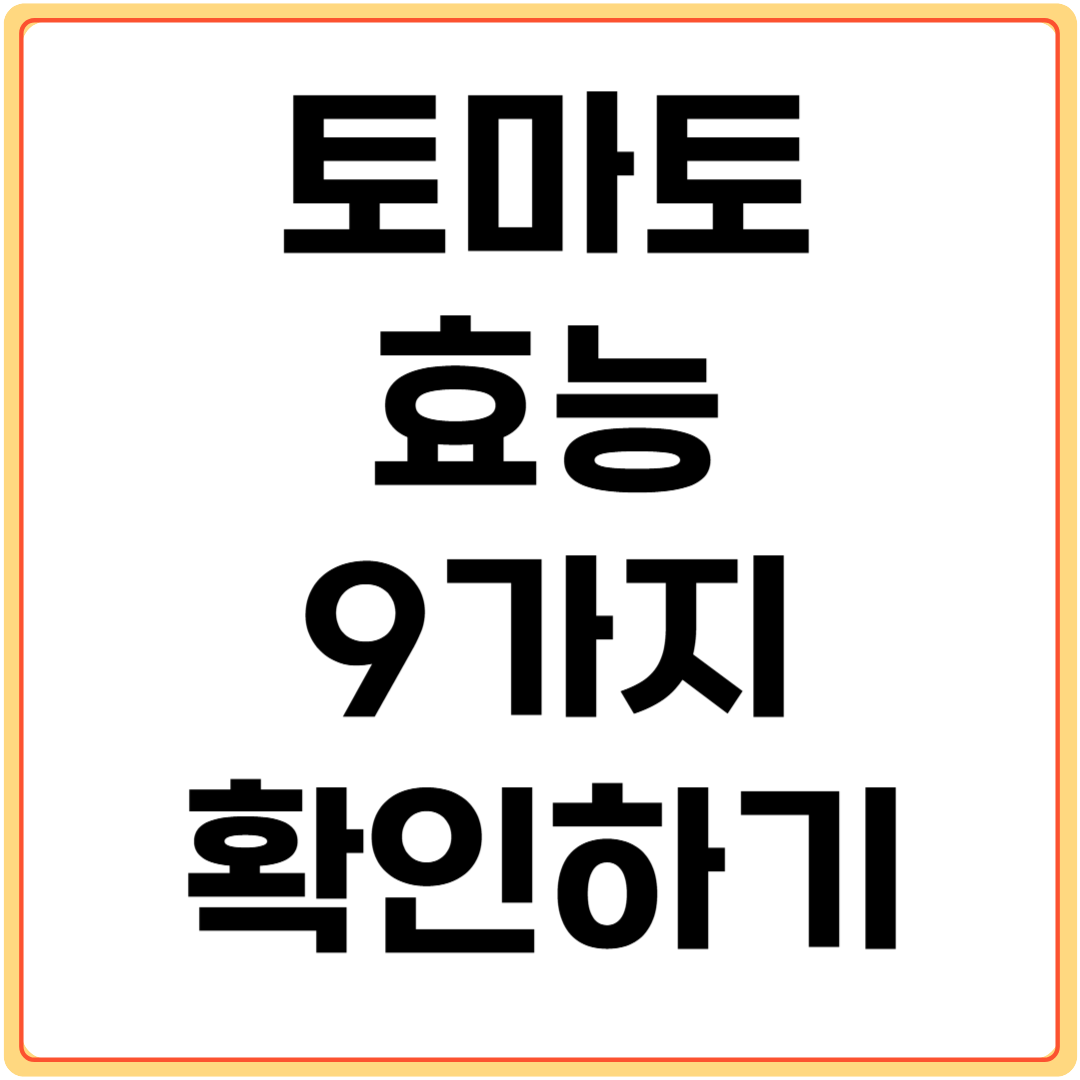 토마토-효능-9가지-확인하기