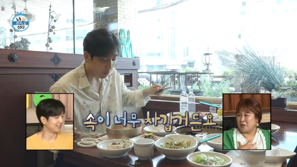 가보정