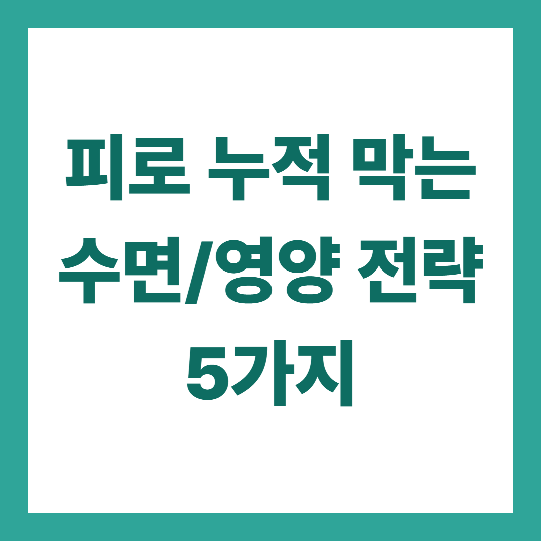 피로 누적을 막는 수면과 영양 전략 5가지