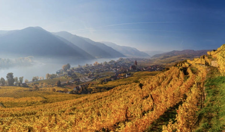 가을에 맞는 글귀