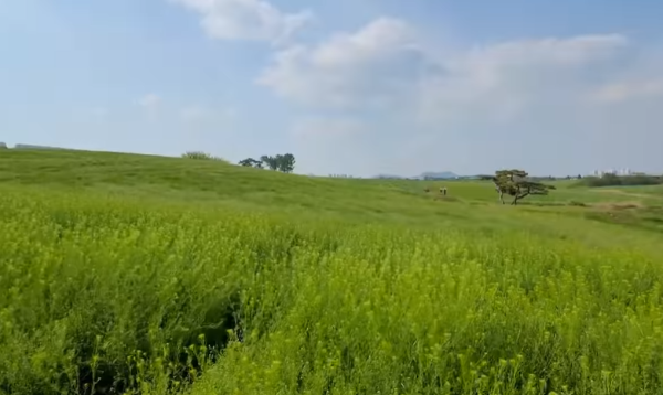 나만알고싶은여행지