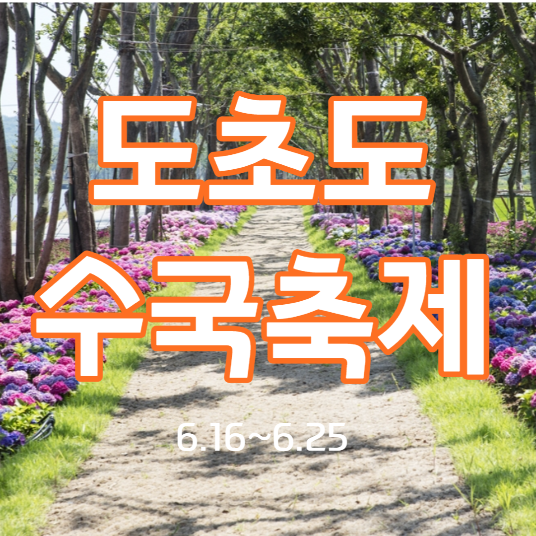 신안 도초도 수국축제
