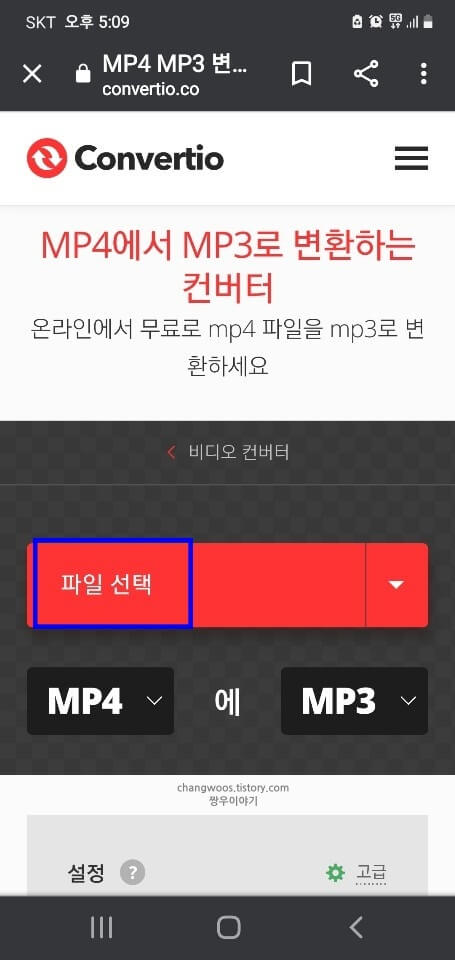 파일-선택-버튼
