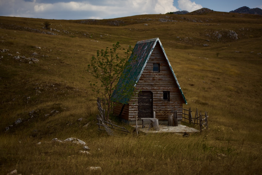 'House'
