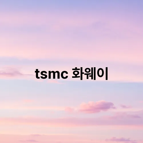 tsmc 화웨이