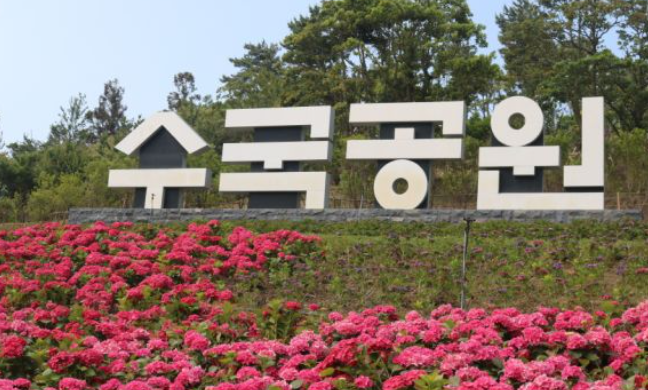 2024 신안 도초도 수국축제 입장료 할인 가는 길 배편