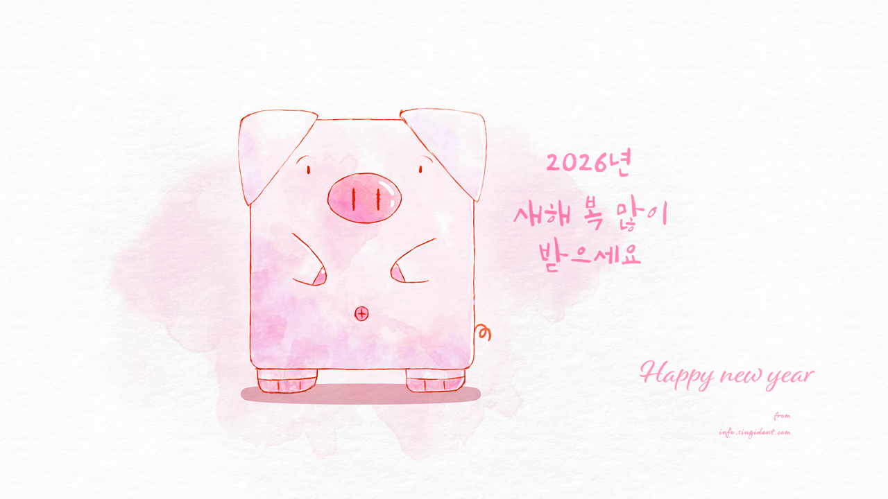 12 돼지 새해 복 많이 받으세요 C - Happy new year 귀여운배경화면