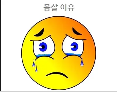 몸살 이유