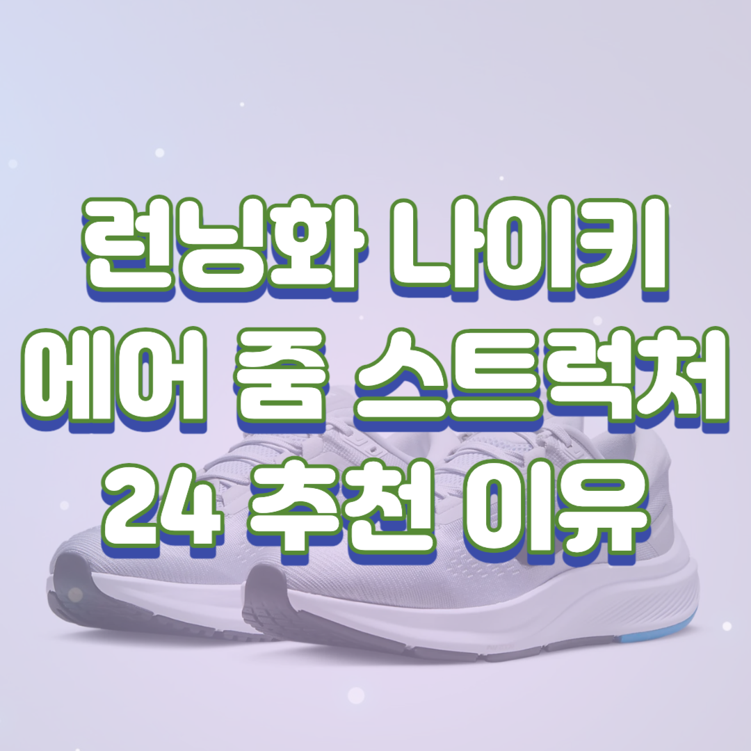 나이키 줌 스트럭쳐 24 후기 및 장단점