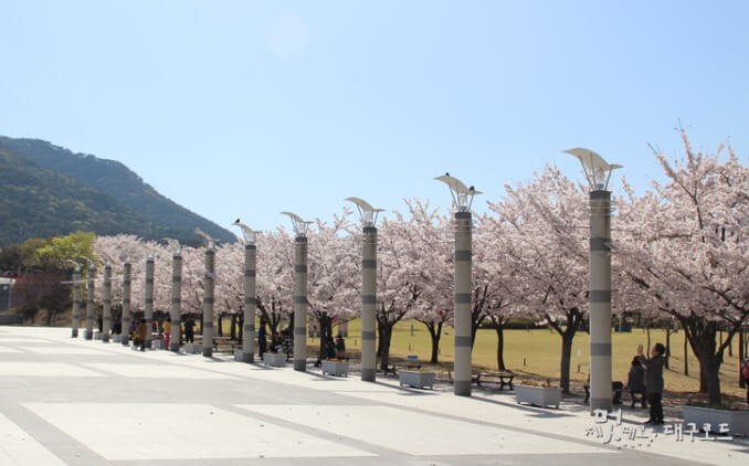 스타디움 보조경기장