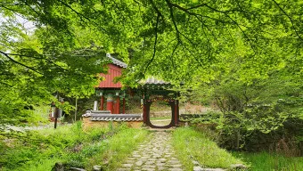 보성 가볼만한곳 베스트10 현지인 추천 필수코스_22