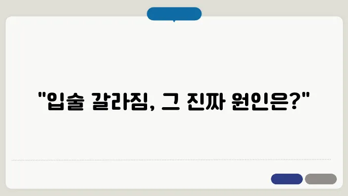 입술 갈라짐 예방하기