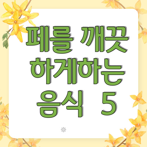 페를 깨끗이 하느 음식