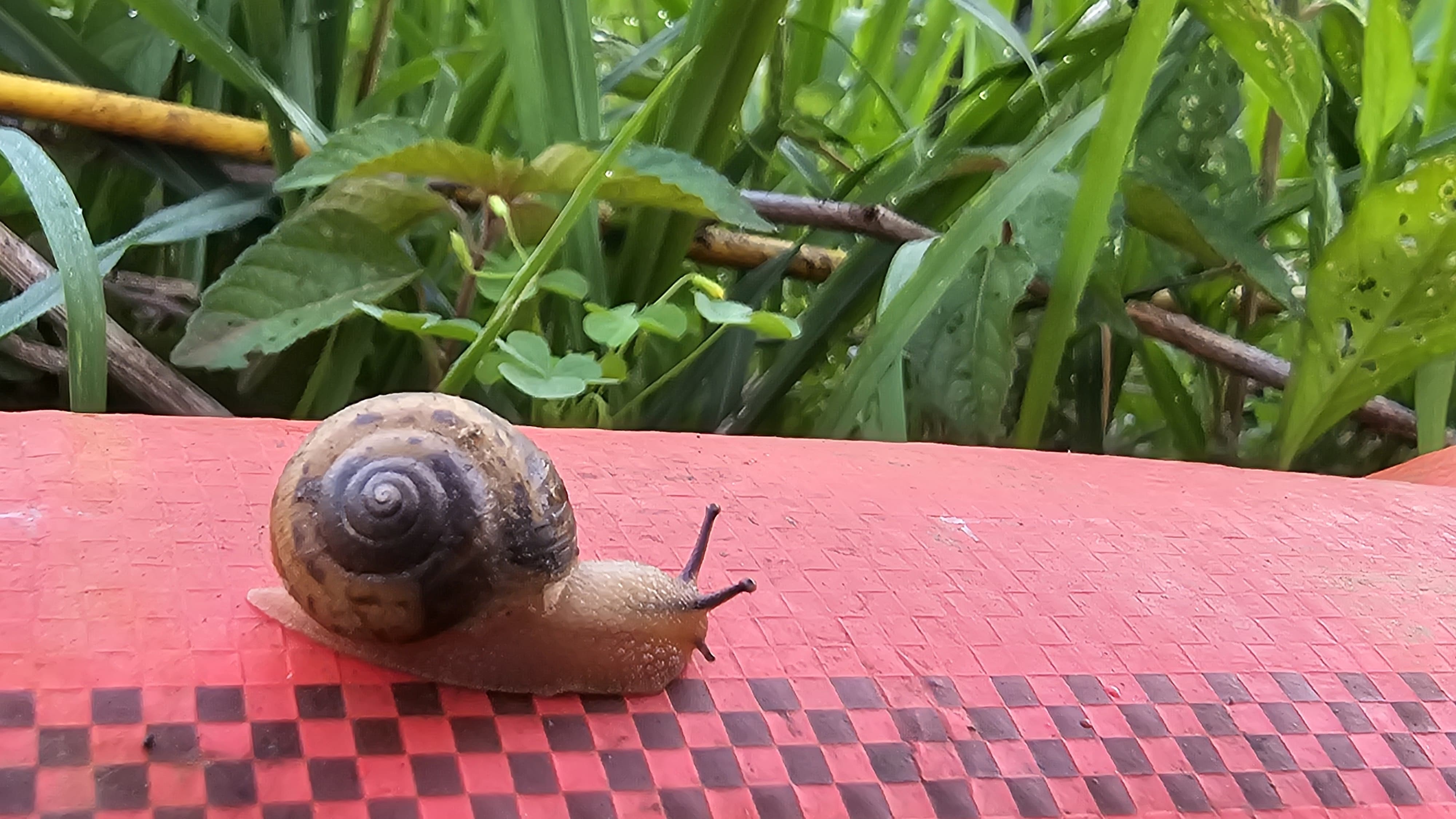 농업 부업으로 돈 버는 방법: 소규모 농사 비즈니스 모델