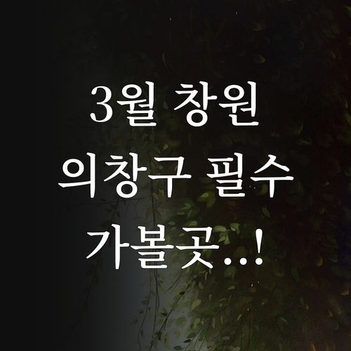 3월 창원 의창구 가볼만한곳 주남저수..