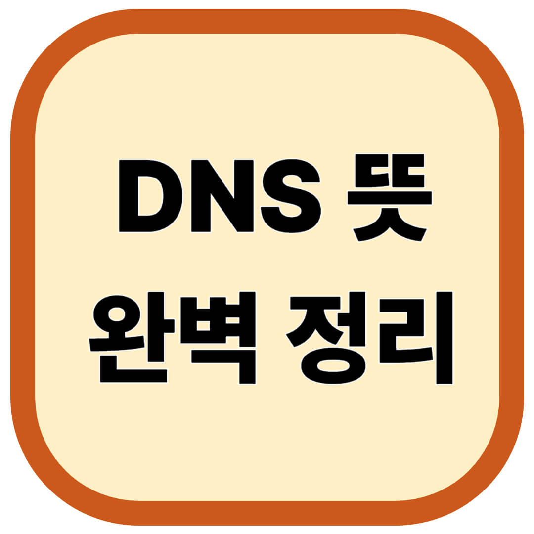 DNS 뜻
