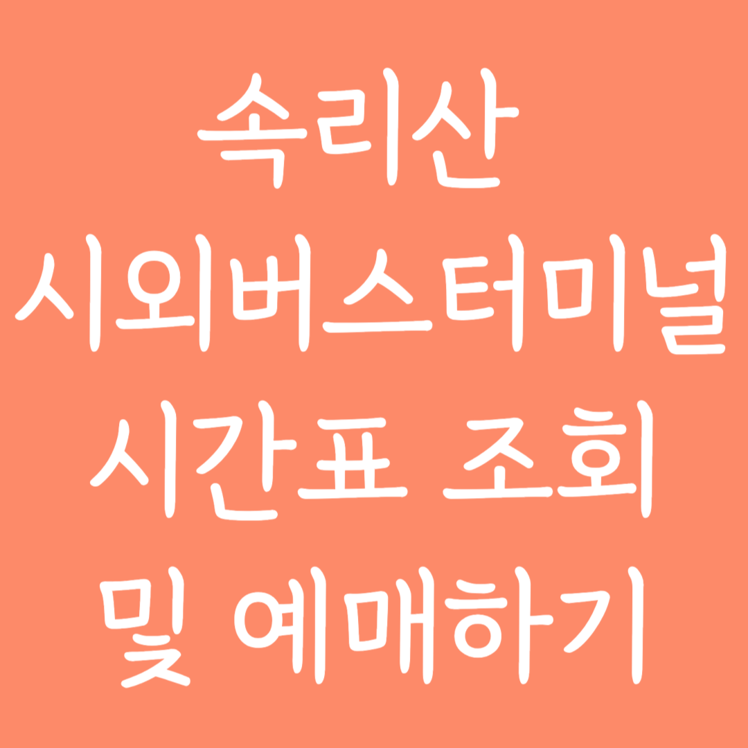 속리산 시외버스터미널 시간표조회 및 예매하기