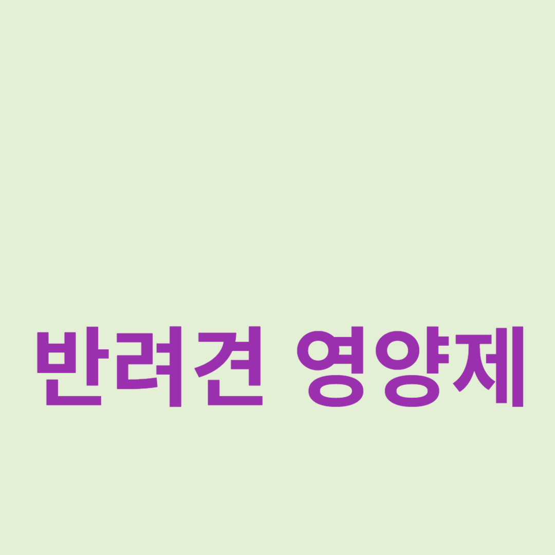 반려견 건강 관리를 위한 영양제 선택 가이드